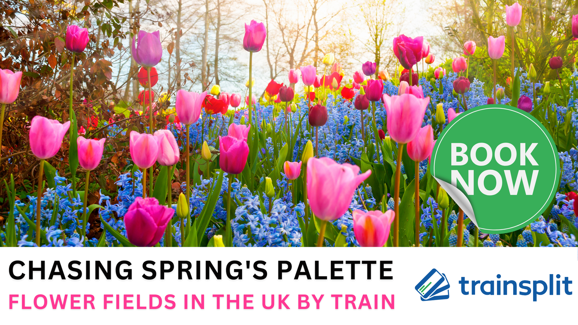 Book your split tickets on Trainsplit