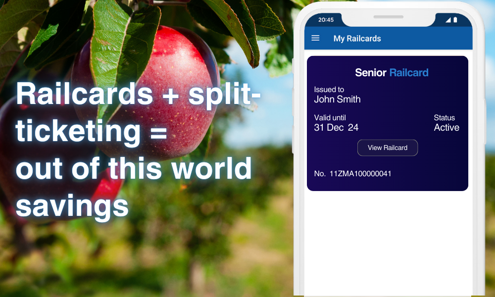 Digital railcards