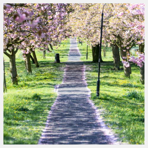 Book your journey on Trainsplit