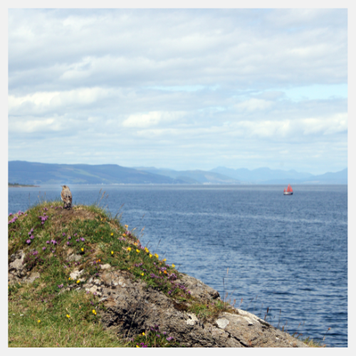 Book your journey on Trainsplit