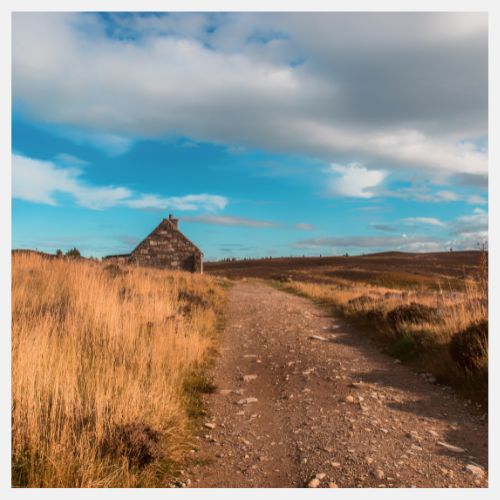 Book your journey on Trainsplit