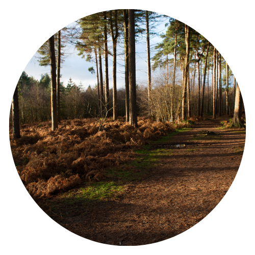 Book your journey on Trainsplit