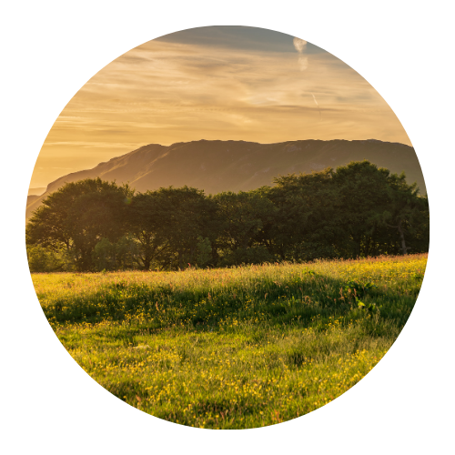 Book your journey on Trainsplit