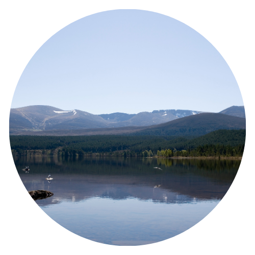 Book your journey on Trainsplit