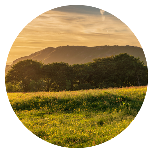 Book your journey on Trainsplit